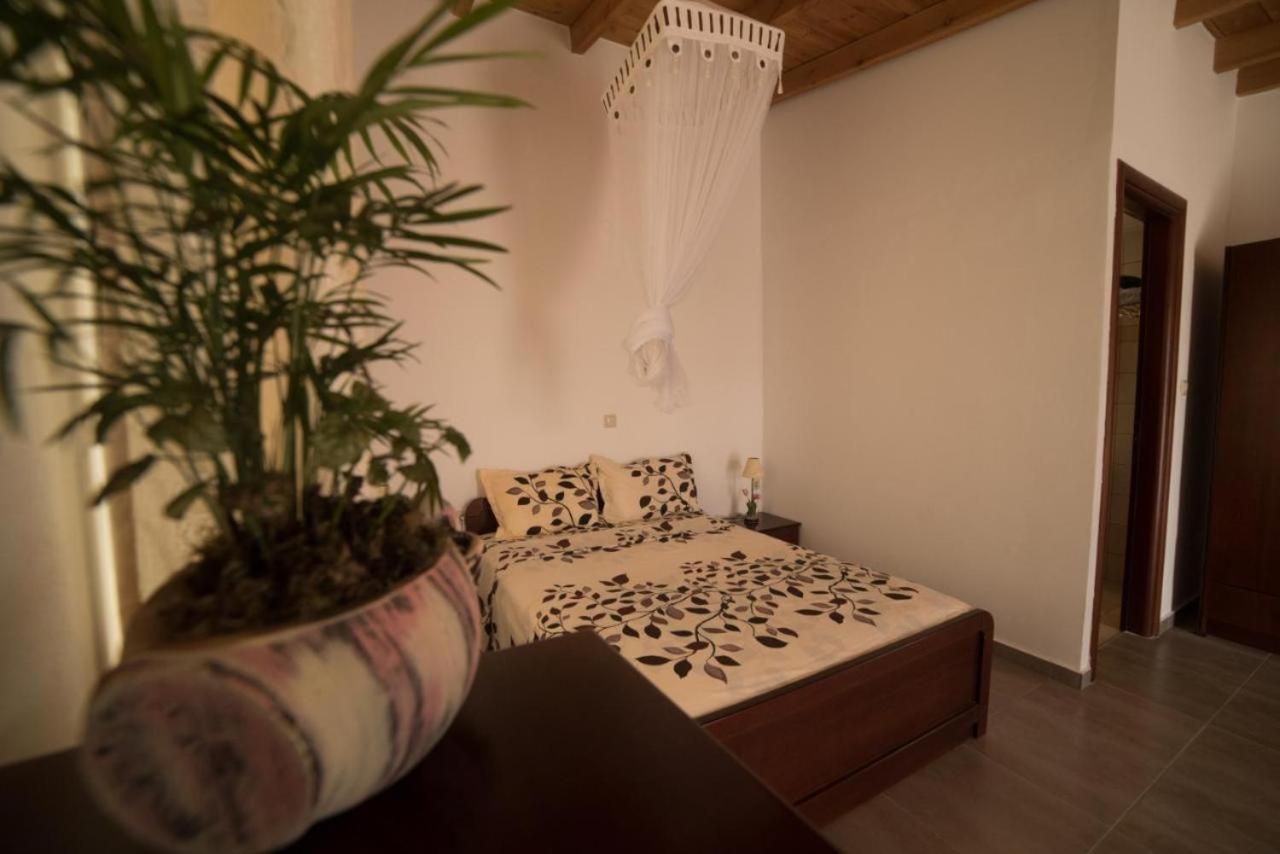 Bodikos Apartments بيتسيديا المظهر الخارجي الصورة
